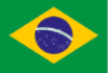 Portuguese Flag