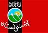Pashto Flag